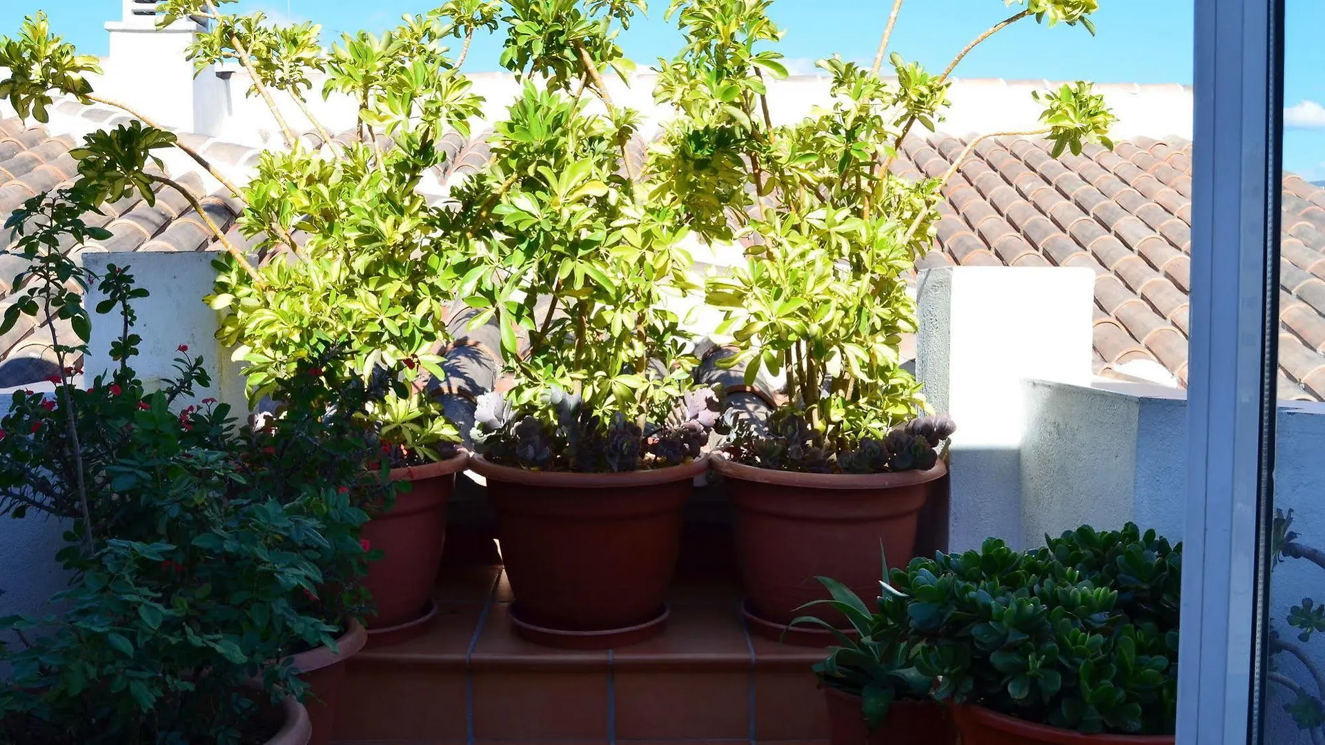Appartement Apartamentos San Pablo Málaga Spanje